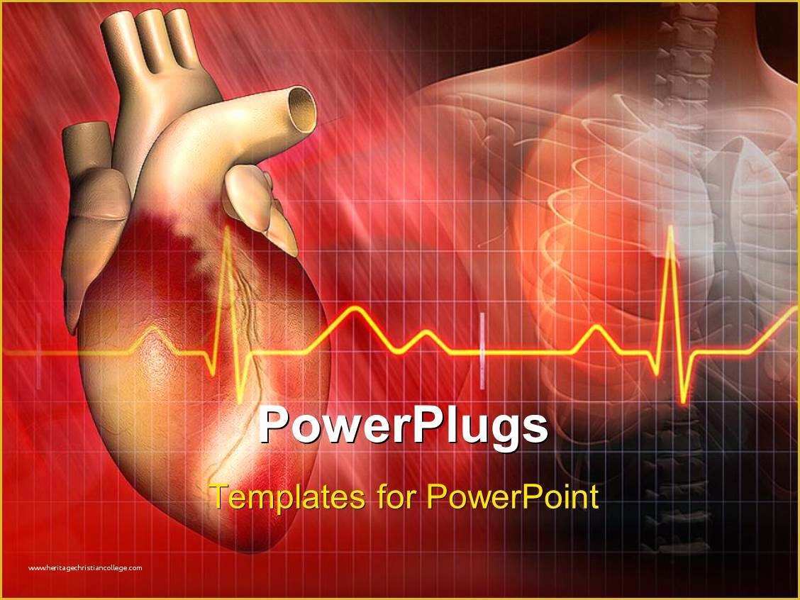Free Ecg Powerpoint Templates Of Powerpoint Template Heart and Ecg Rays with Human
