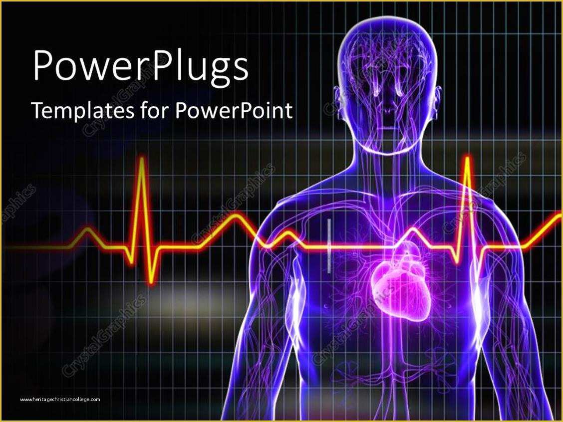 Free Ecg Powerpoint Templates Of Powerpoint Template Human Anatomy with Heart and Ecg Rays