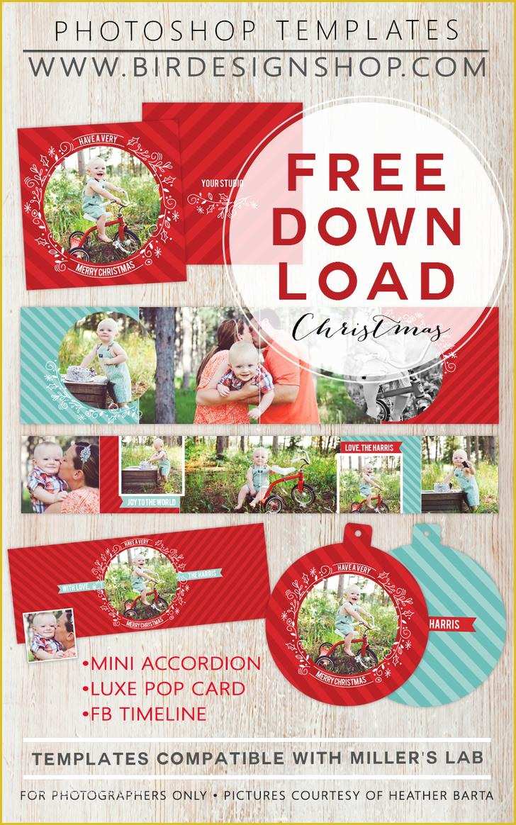 Free Editable Christmas Newsletter Templates Of 10 Family Newsletter Template Free Download