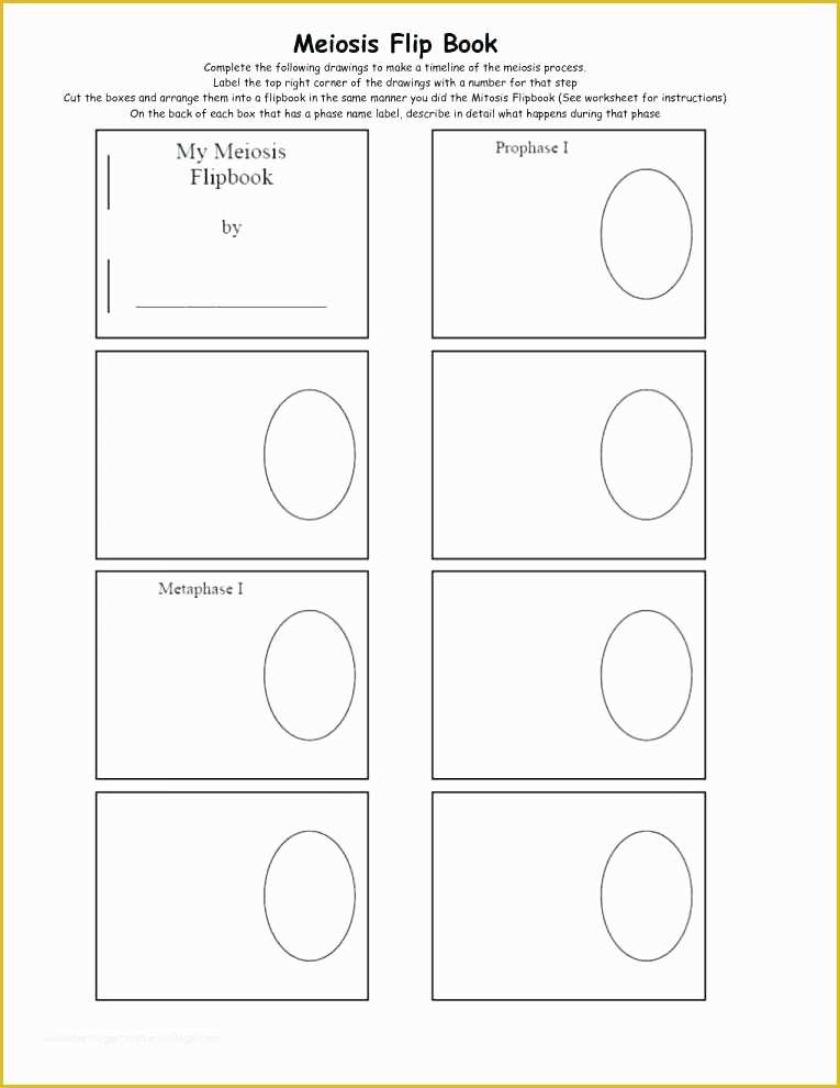 Free Editable Flip Book Template Of Powerpoint Flip Book Template Flip Book Template Maker for