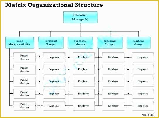 Free Editable organizational Chart Template Of Free organizational Chart Template Matrix org Editable
