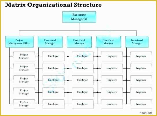 Free Editable organizational Chart Template Of Free organizational Chart Template Matrix org Editable