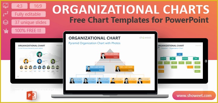 Free Editable organizational Chart Template Of organizational Charts for Powerpoint