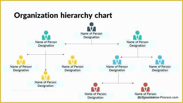 Free Editable organizational Chart Template Of Sample org Chart Template Blank organizational Chart