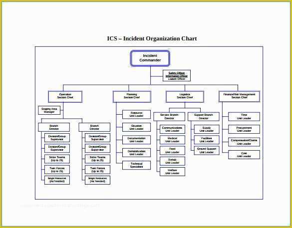 Free Editable organizational Chart Template Of Unique organizational Chart Template Word