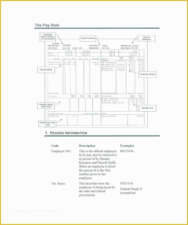 Free Editable Pay Stub Template Of 25 Sample Editable Pay Stub Templates to Download