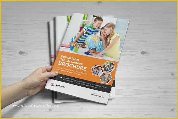 Free Education Brochure Templates for Word Of 30 Educational Brochure Templates Free Psd Word Designs