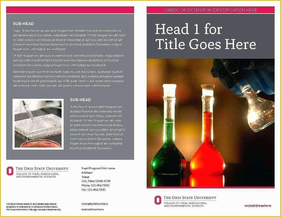 Free Education Brochure Templates for Word Of Free Brochure Templates for Word Blank Downloadable Tri