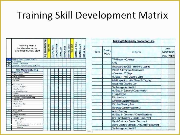 Free Employee Skills Matrix Template Excel Of Lovely Skills Matrix Template Excel Risk assessment Matrix