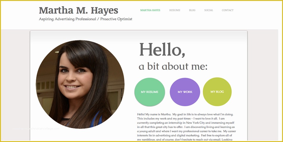 Free Eportfolio Templates Of Stellar Examples Of Creative Line Portfolio & Personal