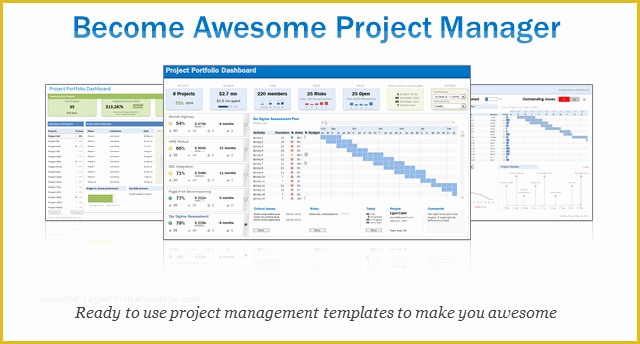 Free Excel Multiple Project Management Tracking Templates Of Excel Project & Portfolio Management Templates Download