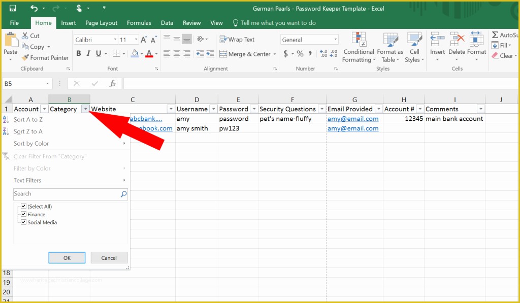 Free Excel Password Manager Template Of How to Use Excel as A Password Keeper Free Template