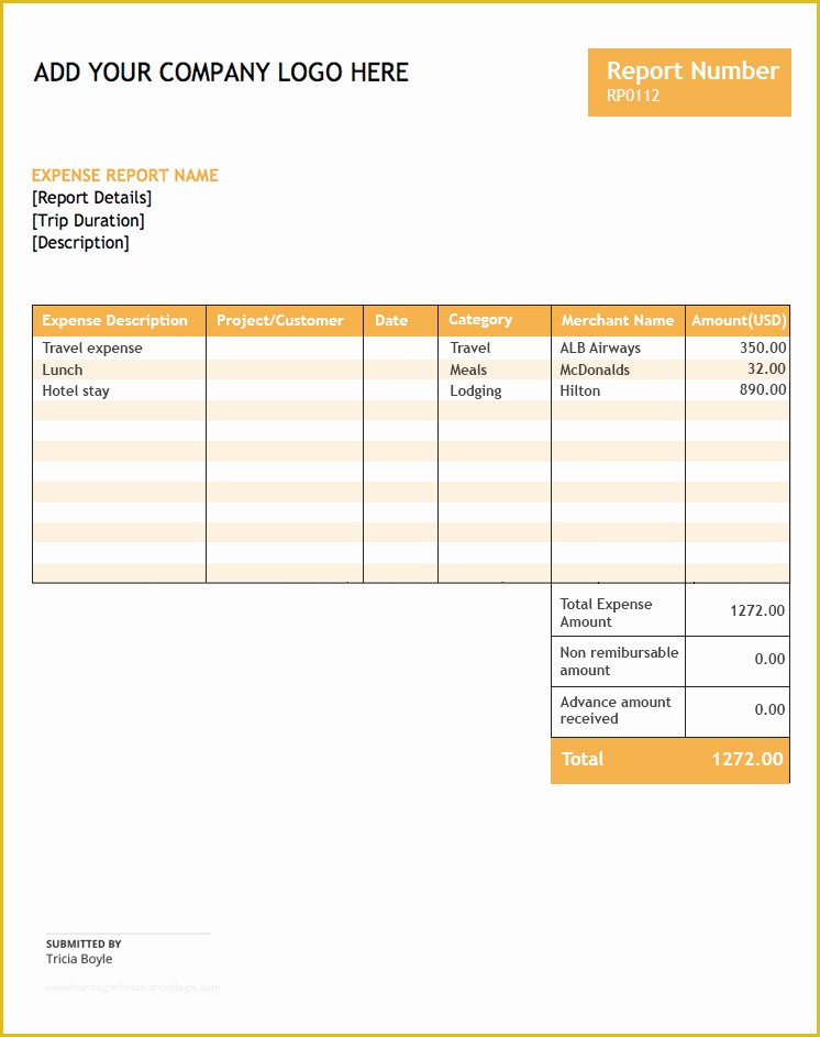 Free Expense Report Template Of Free Expense Report Template