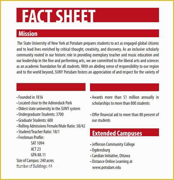 Free Fact Sheet Template Of 12 Fact Sheet Templates Excel Pdf formats