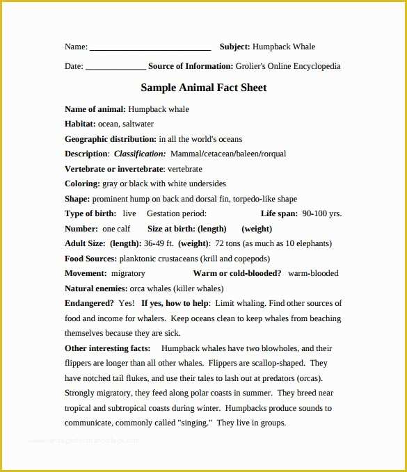 Free Fact Sheet Template Of 24 Fact Sheet Templates Pdf Doc