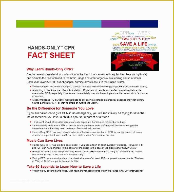 Free Fact Sheet Template Of 60 Beautiful Fact Sheet Templates Examples and Designs