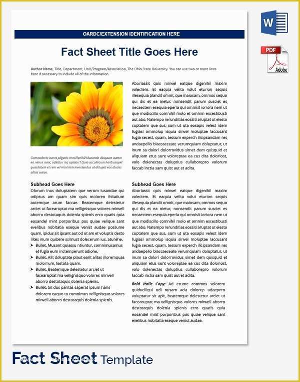 Free Fact Sheet Template Of Fact Sheet Template 32 Free Word Pdf Documents