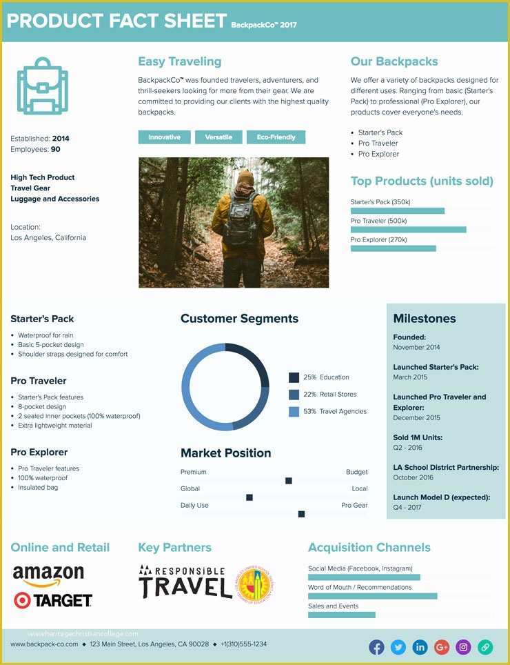 Free Fact Sheet Template Of How to Create A Fact Sheet