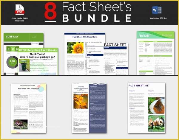 Free Fact Sheet Template Of Sample Fact Sheet Template 13 Free Download Documents