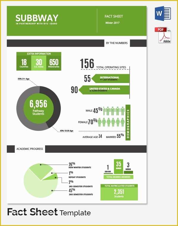 Free Fact Sheet Template Of Sample Fact Sheet Template 21 Free Download Documents