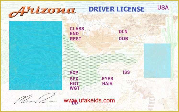 Free Fake Id Templates Online Of Fake Id Template Arizona Fake Id Template Templates