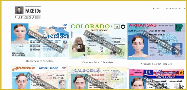 Free Fake Id Templates Online Of Fake Id Template Review