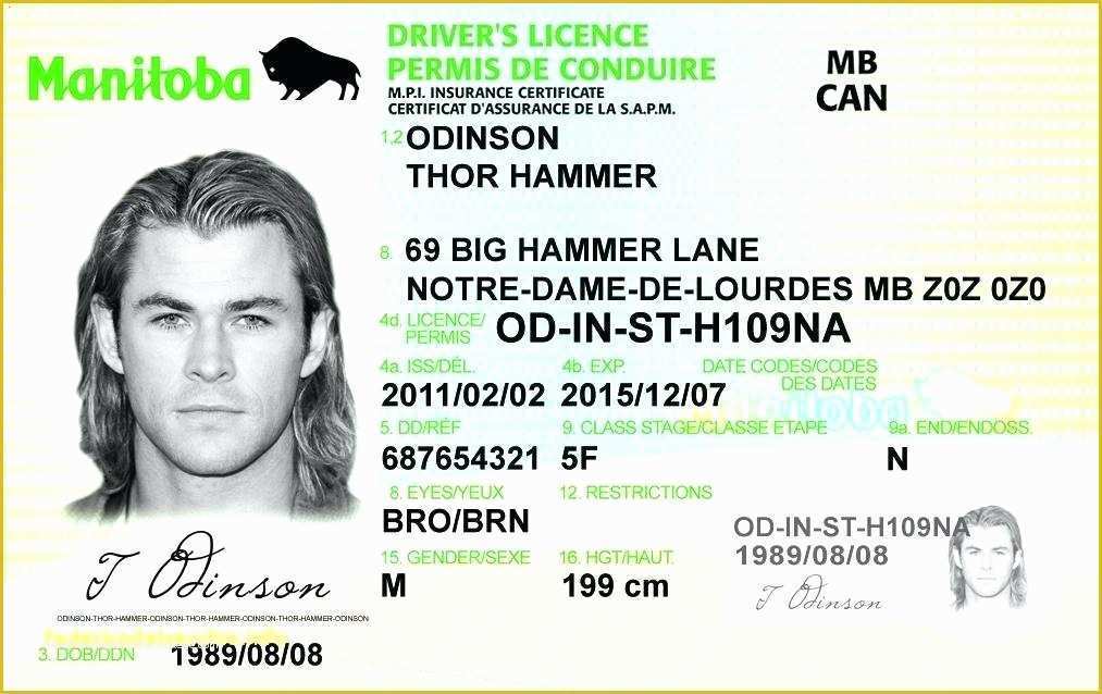 Free Fake Id Templates Online Of Free Fake Id Template Unique 27 Fresh Drivers License