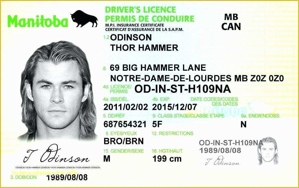 Free Fake Id Templates Online Of Free Printable Licenses and Id Cards ...