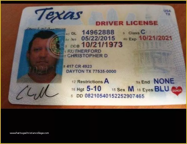 Our Best Gallery of Free Fake Id Templates Online Of Free Nevada Drivers Li...