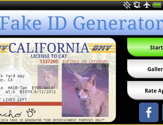 Free Fake Id Templates Online Of Osobodigest Blog