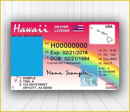 Free Fake Id Templates Online Of Pretend Drivers License Printable Template