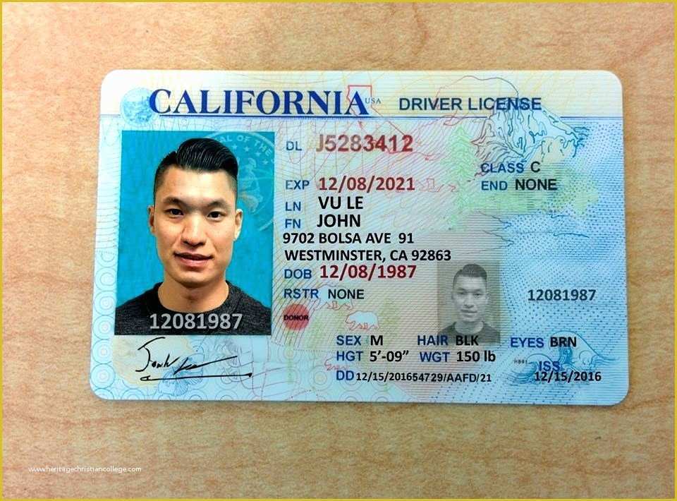 Free Fake Id Templates Online Of Teen Driver S License Teen Kawaly24