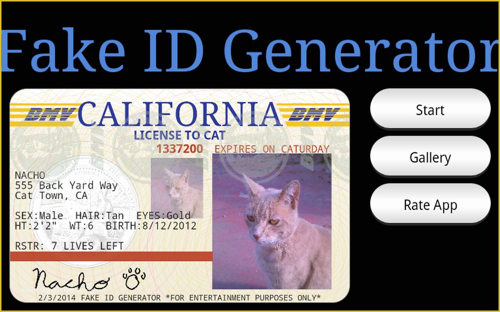 Free Fake Id Templates Online Of Ways to Detect A Fake Drivers License Kama Eebs
