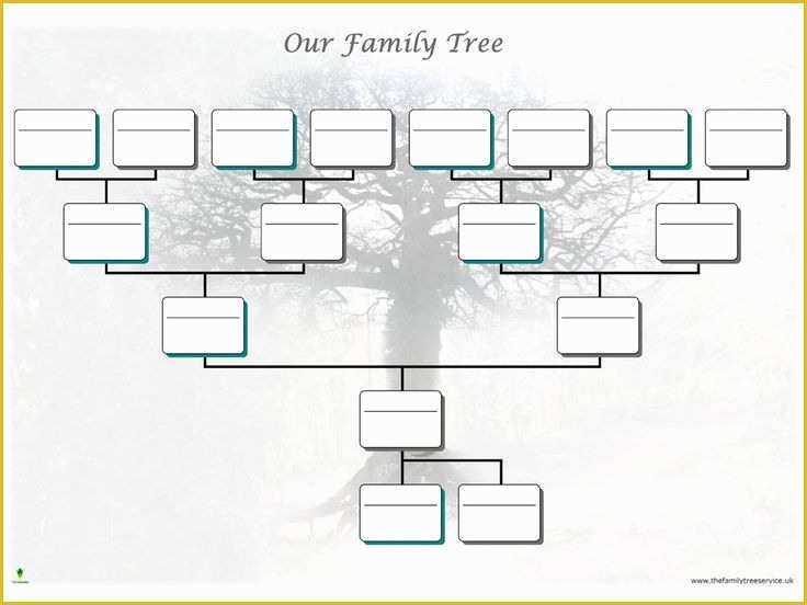 Free Family History Templates Of 20 Best Free Family Tree Templates Images On Pinterest