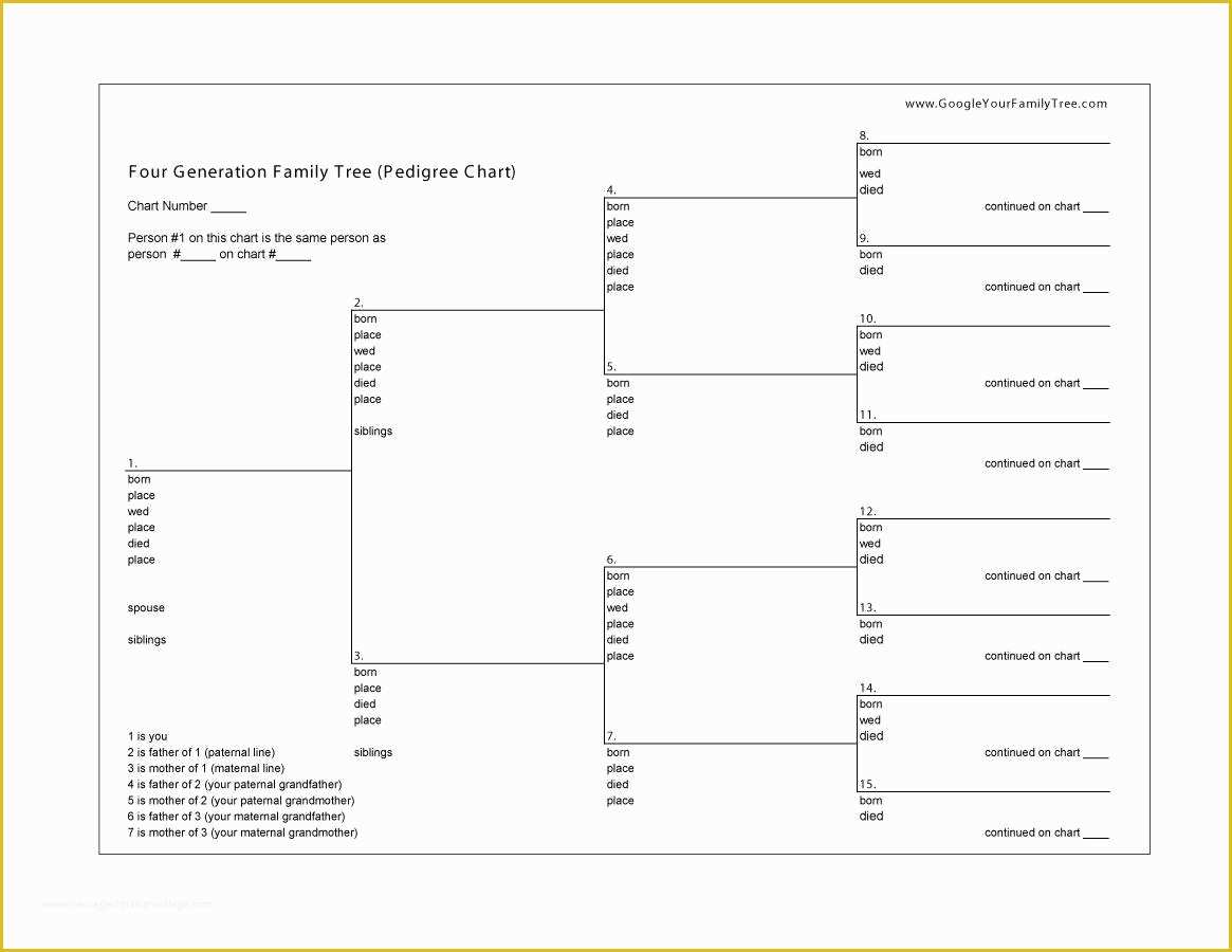 Free Family History Templates Of 50 Free Family Tree Templates Word Excel Pdf