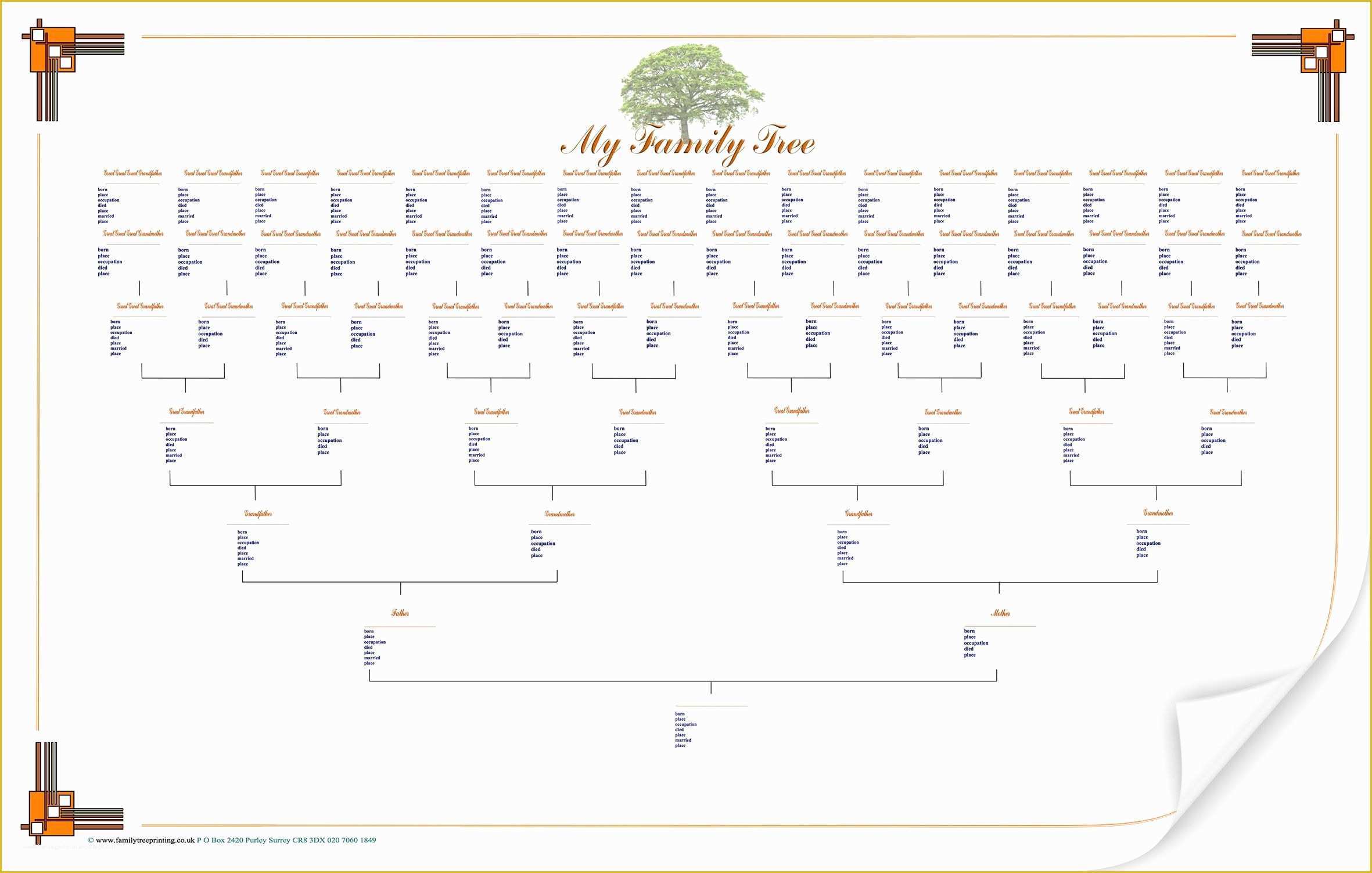 Free Family History Templates Of Blank Family Tree Chart Geneology