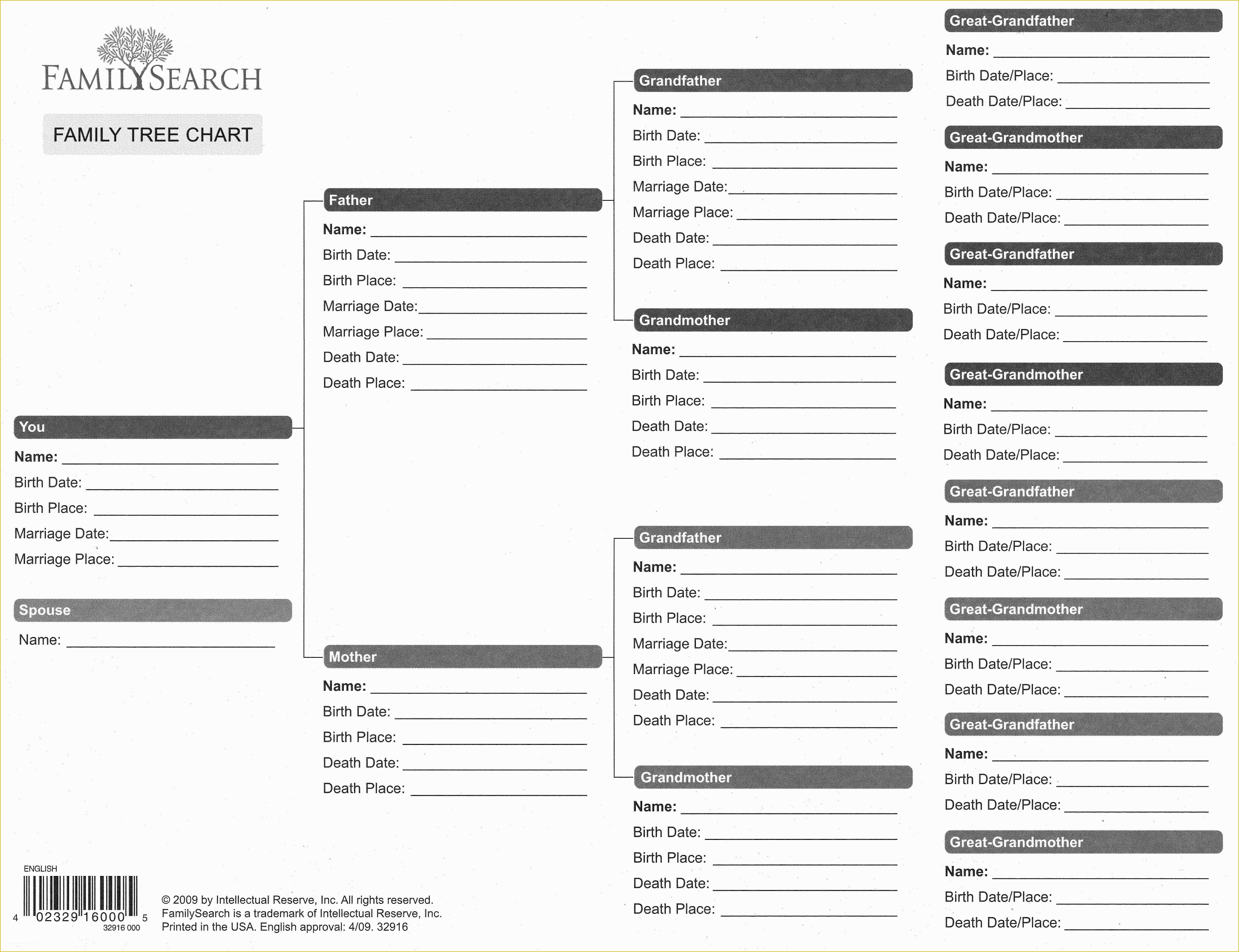 Free Family History Templates Of Blank Family Tree form