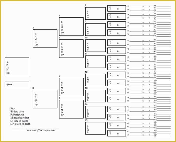 Free Family History Templates Of Blank Family Tree Template 31 Free Word Pdf Documents