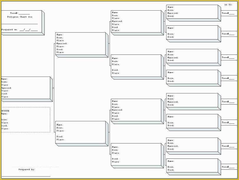 how-to-write-a-family-history-book-template-irishgasm