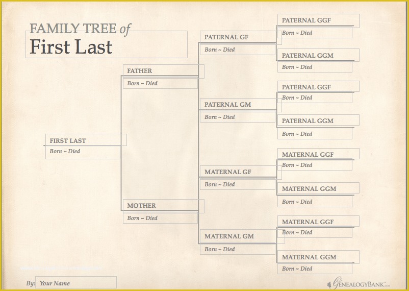 Free Family History Templates Of Family Tree Template Finder Free Charts for Genealogy