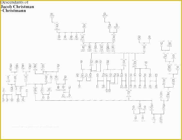 Free Family History Templates Of Family Tree Template Free Printable Word Excel Pedigree