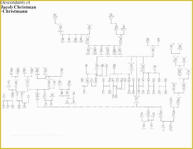 Free Family History Templates Of Family Tree Template Free Printable Word Excel Pedigree