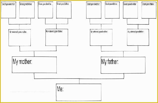 Free Family History Templates Of Free Printable Family History Chart