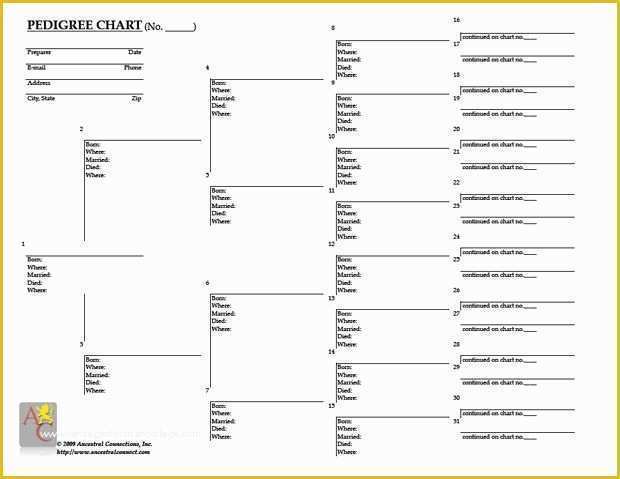 Free Family History Templates Of Free Printable Pedigree Chart Geneology