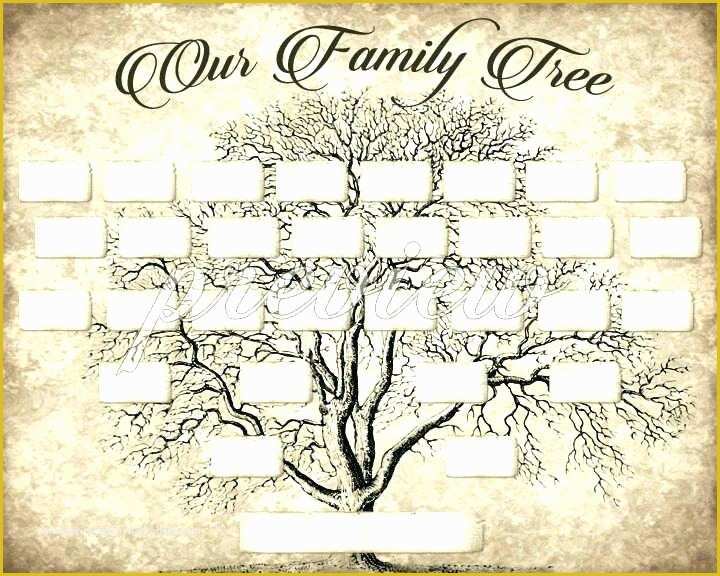 Free Family History Templates Of Sample Family History Book Template Our Family Tree Book