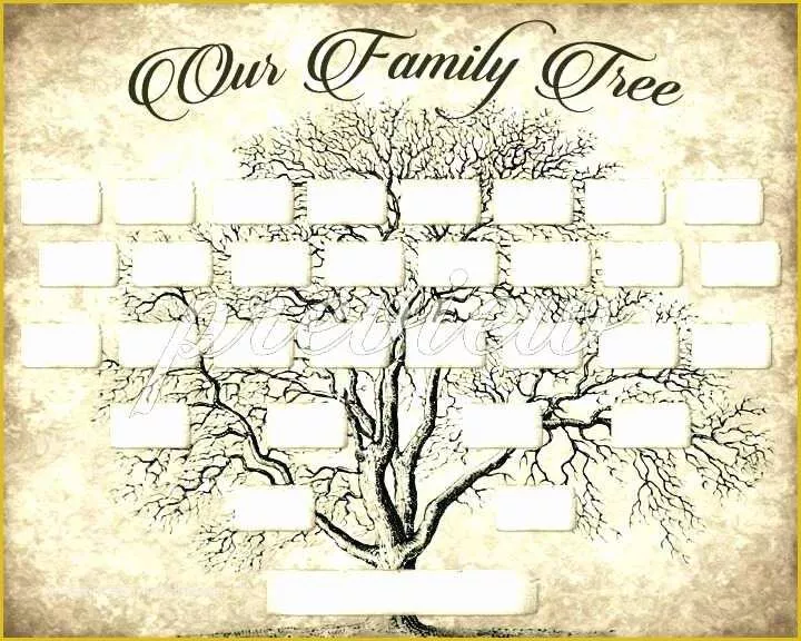 Free Family History Templates Of Sample Family History Book Template Our Family Tree Book