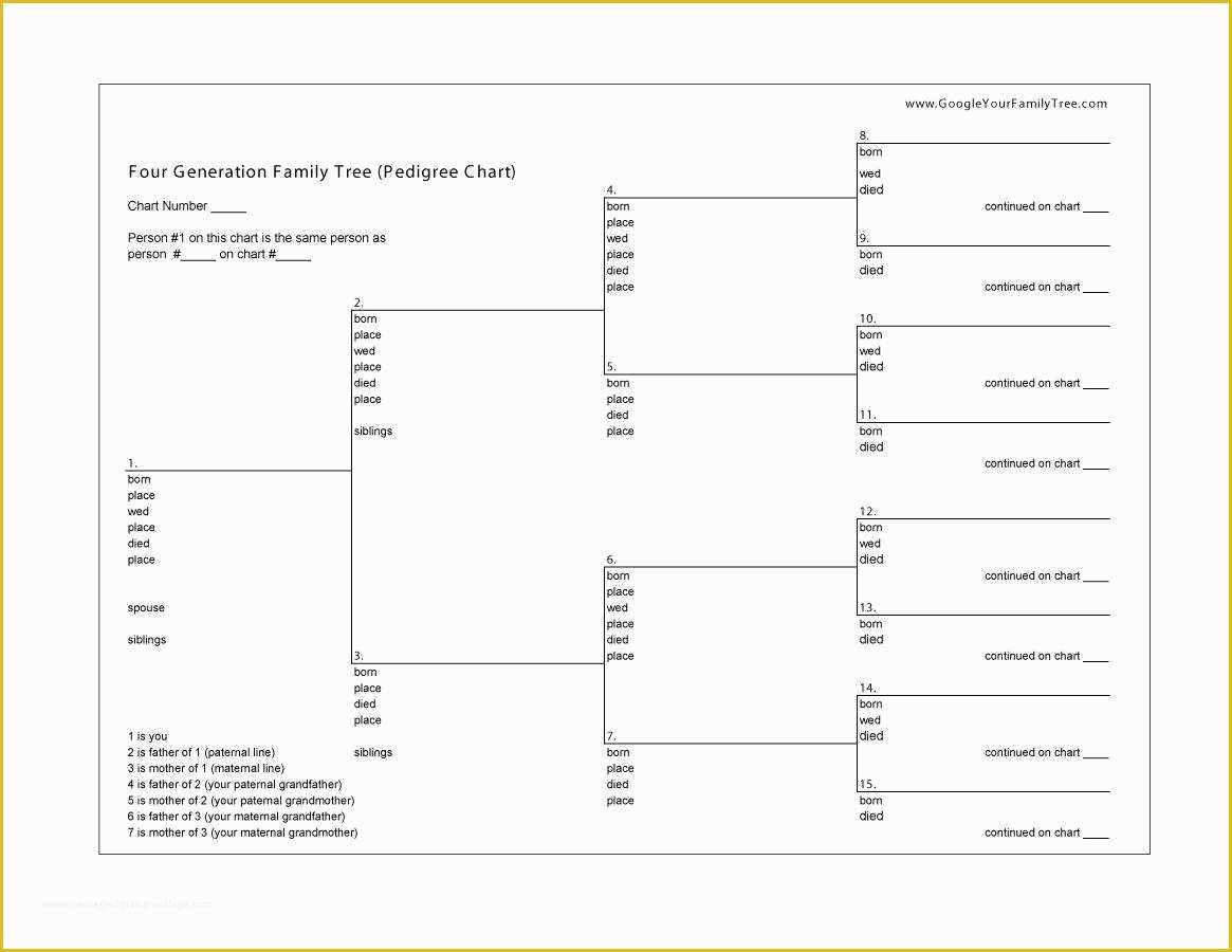 Free Family Tree Template Of 50 Free Family Tree Templates Word Excel Pdf