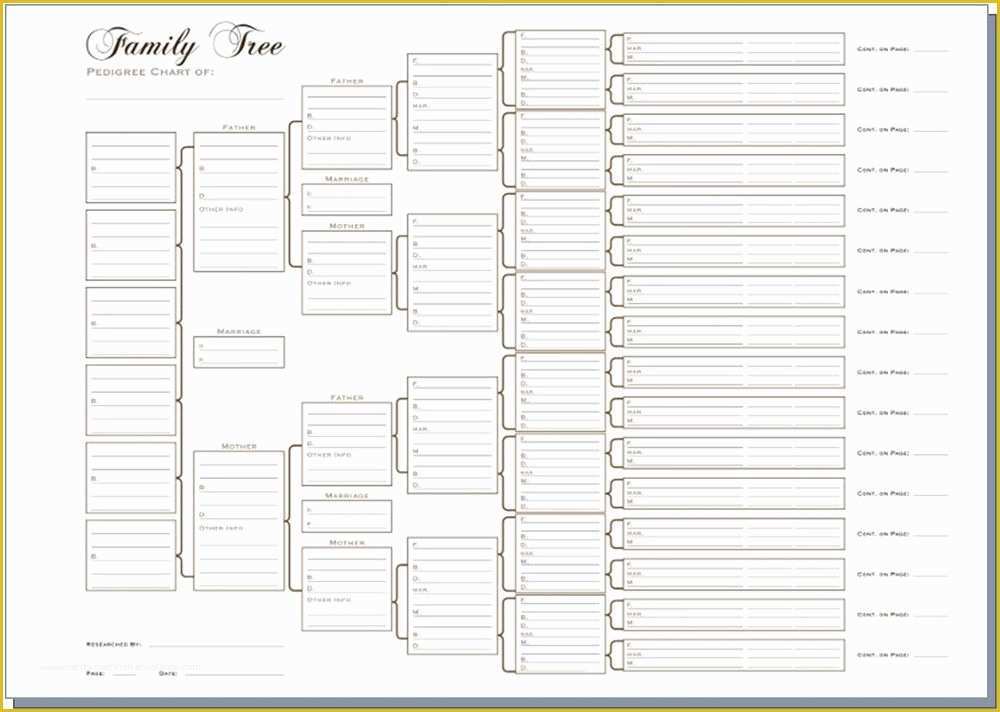 Free Family Tree Template Of A3 Six Generation Family Tree Chart Pedigree Pack Of 3