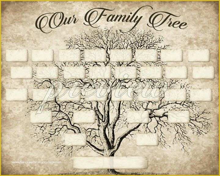 Free Family Tree Template Of Diy Printable Family Tree Pdf Template 8x10 Type In Your