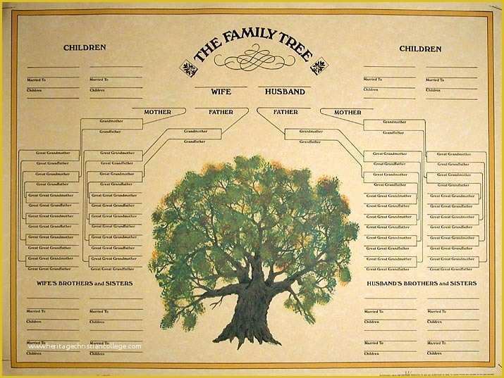 Free Family Tree Template Of Family Tree Template Blank Family Tree
